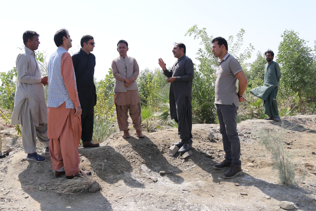 VC visited Green Belt Extension & Green Revenue Project at University
